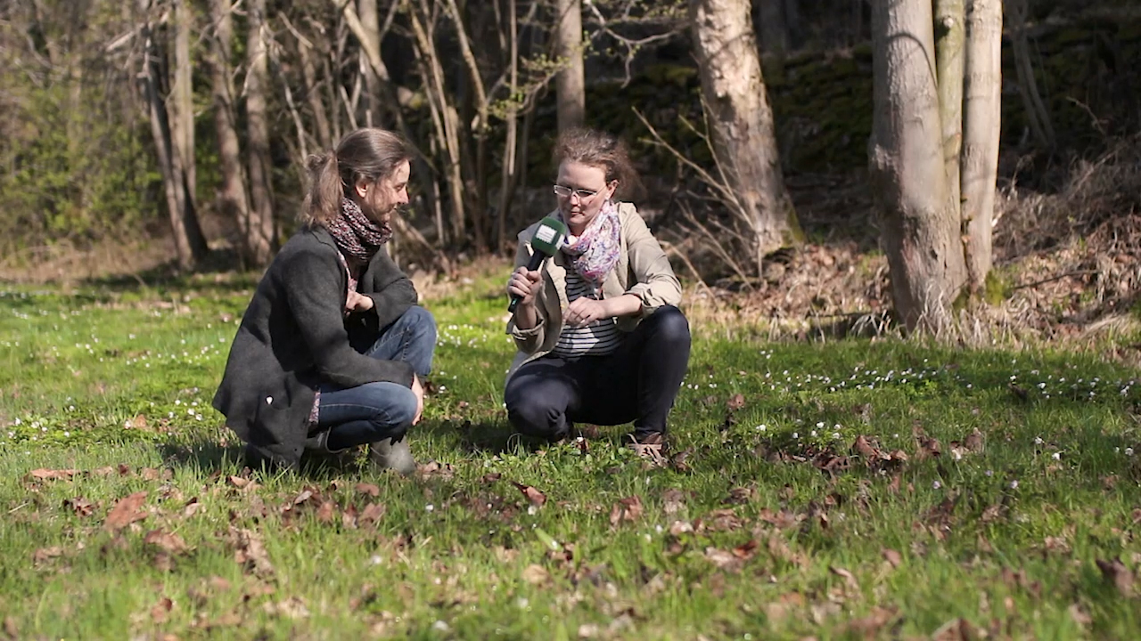 MEgional mit einer neuen Folge unserer Serie Kräuter der Region MEgional mit einer neuen Folge unserer Serie Kräuter der Region